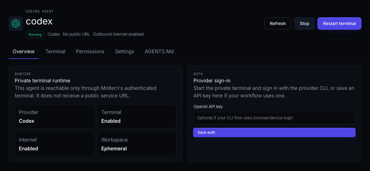 Moltern coding agent overview and provider auth