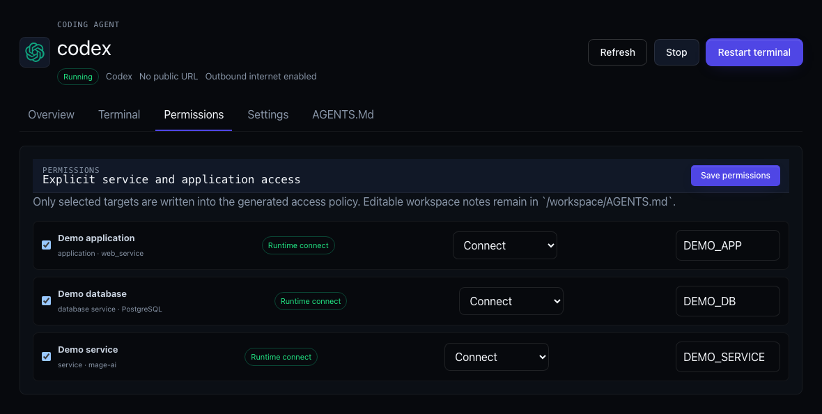 Moltern coding agent permissions screen