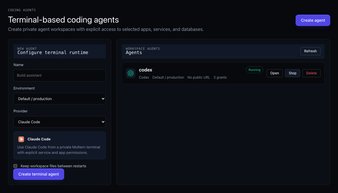 Moltern coding agent provider selection