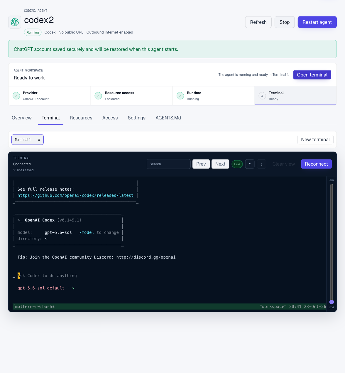 Moltern coding agent terminal with tabs and branded startup