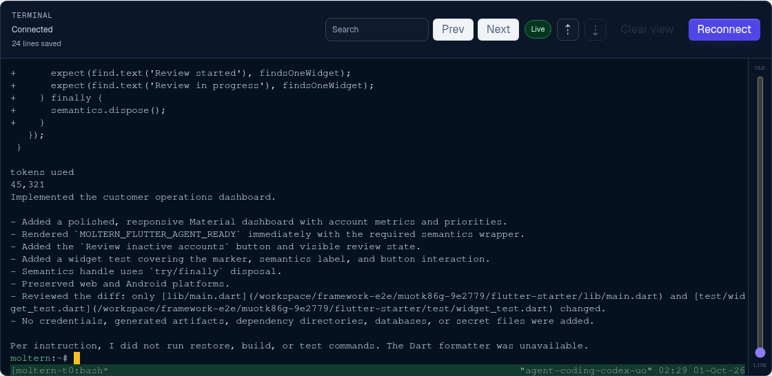 Codex completing a framework application change in the Moltern terminal