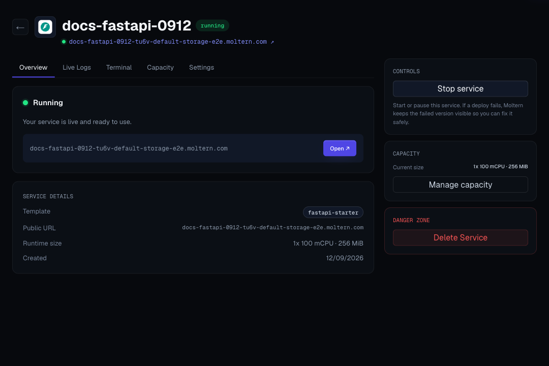 Moltern FastAPI framework starter service overview