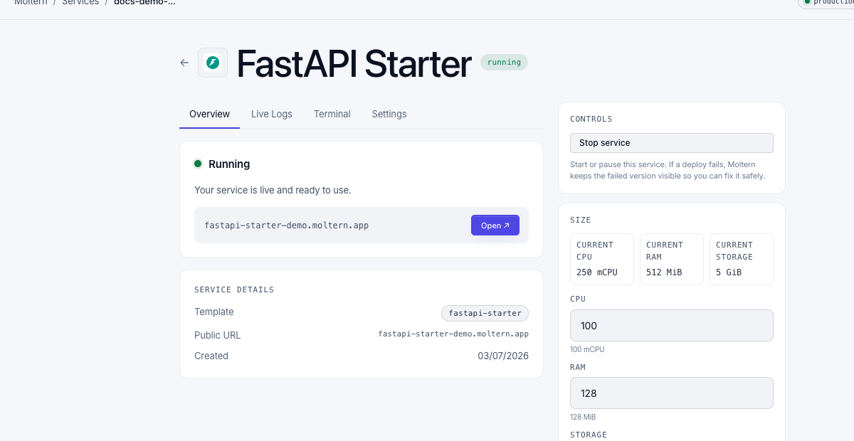 Moltern FastAPI framework starter service overview
