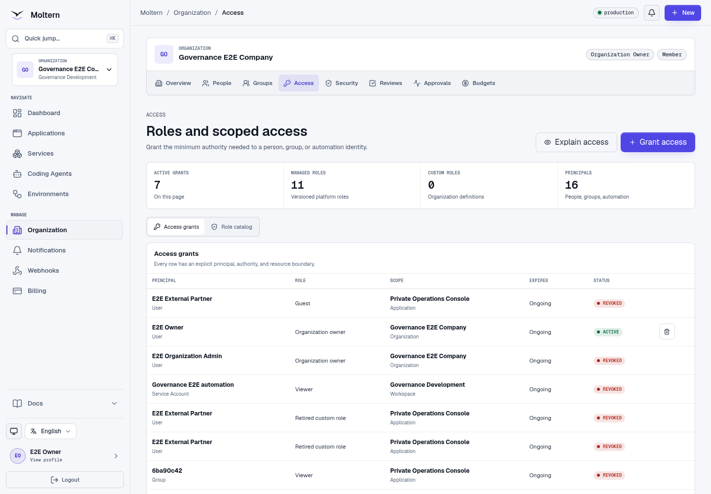 Organization roles and scoped access
